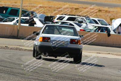 media/Feb-22-2025-Team Topak Racing (Sat) [[cb57a51a40]]/86 Party Brigade/Turns 13 and 14/